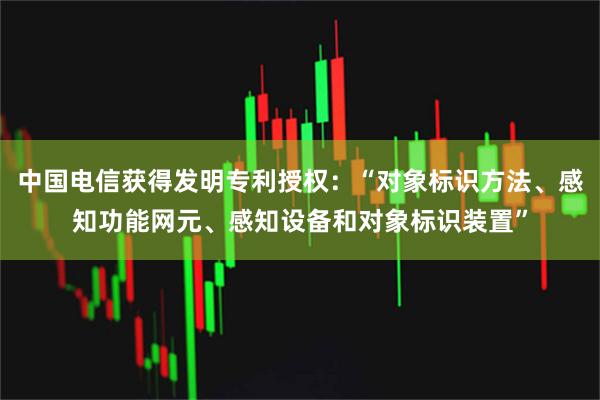 中国电信获得发明专利授权：“对象标识方法、感知功能网元、感知设备和对象标识装置”