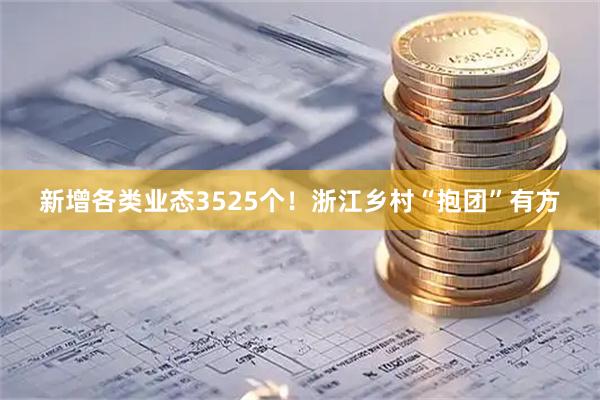 新增各类业态3525个！浙江乡村“抱团”有方