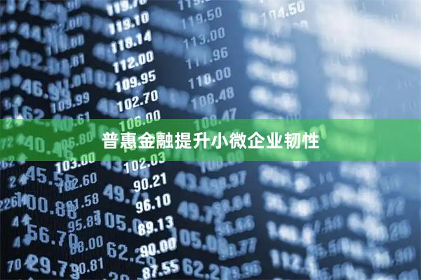 普惠金融提升小微企业韧性